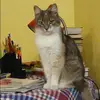 Отзыв от Арина Ларионова